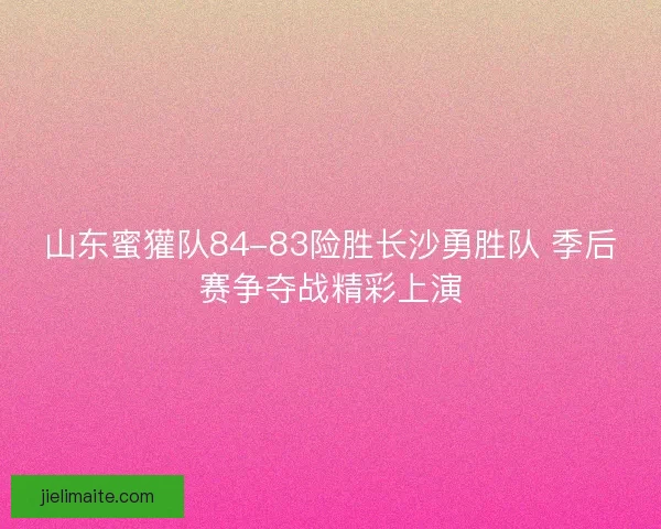 山东蜜獾队84-83险胜长沙勇胜队 季后赛争夺战精彩上演